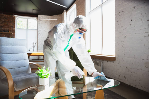 Mold Remediation for Rental Properties