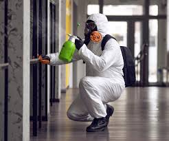 Best Commercial Mold Inspection  in Copperas Cove, TX